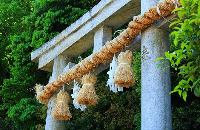 Bonsai Shrine
